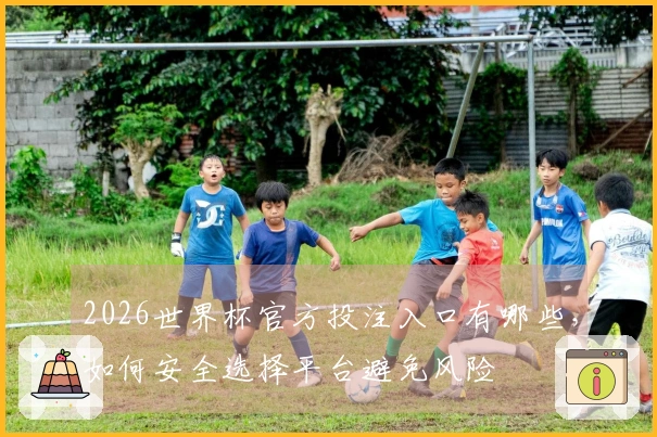 2026世界杯官方投注入口有哪些，如何安全选择平台避免风险