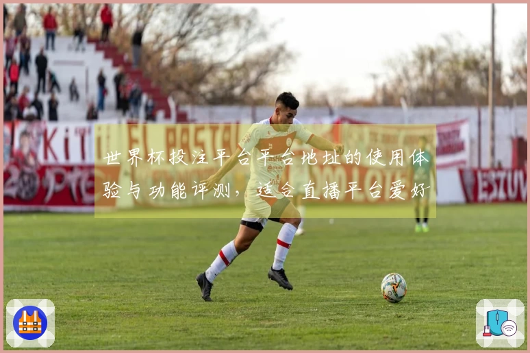 世界杯投注平台平台地址的使用体验与功能评测，适合直播平台爱好者参考