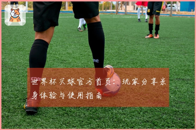 世界杯买球官方首页：玩家分享亲身体验与使用指南