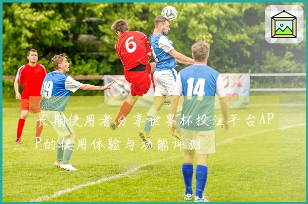 长期使用者分享世界杯投注平台APP的使用体验与功能评测