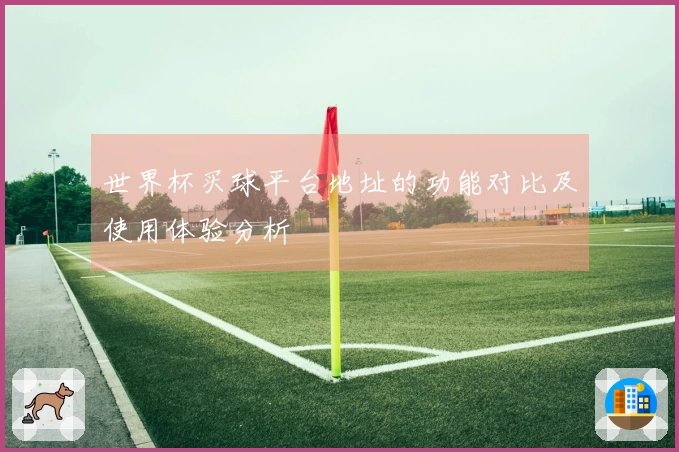 世界杯买球平台地址的功能对比及使用体验分析