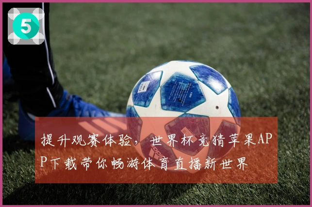 提升观赛体验，世界杯竞猜苹果APP下载带你畅游体育直播新世界