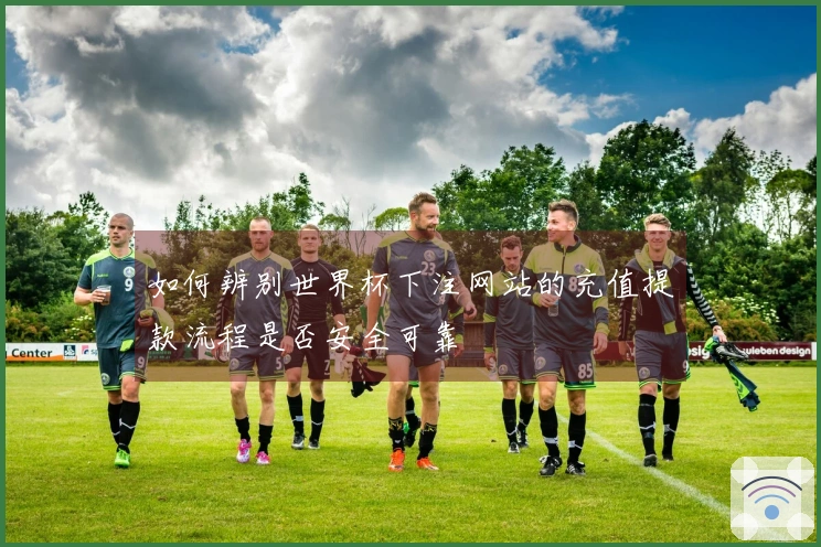 如何辨别世界杯下注网站的充值提款流程是否安全可靠