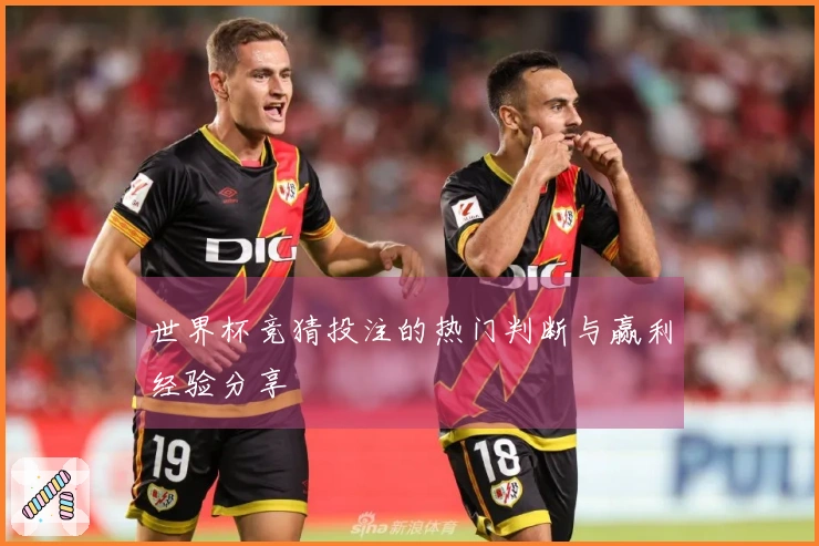 世界杯竞猜投注的热门判断与赢利经验分享