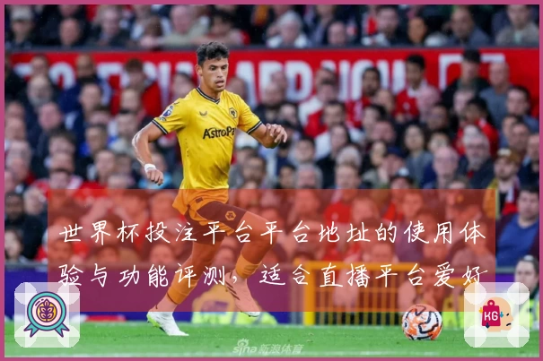 世界杯投注平台平台地址的使用体验与功能评测，适合直播平台爱好者参考