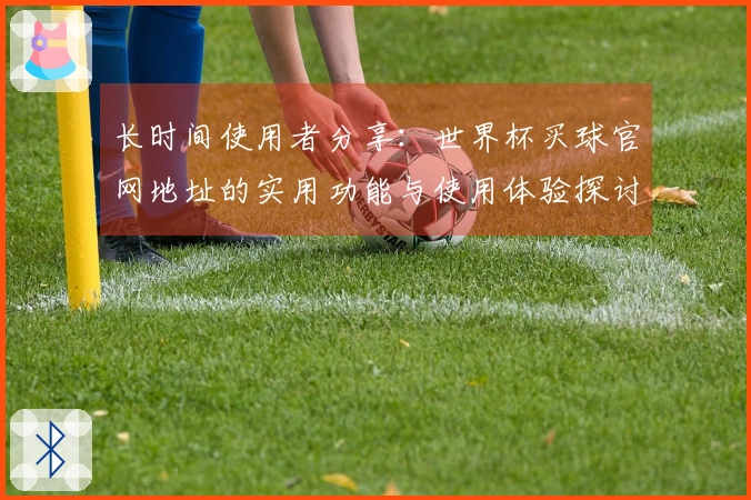 长时间使用者分享：世界杯买球官网地址的实用功能与使用体验探讨