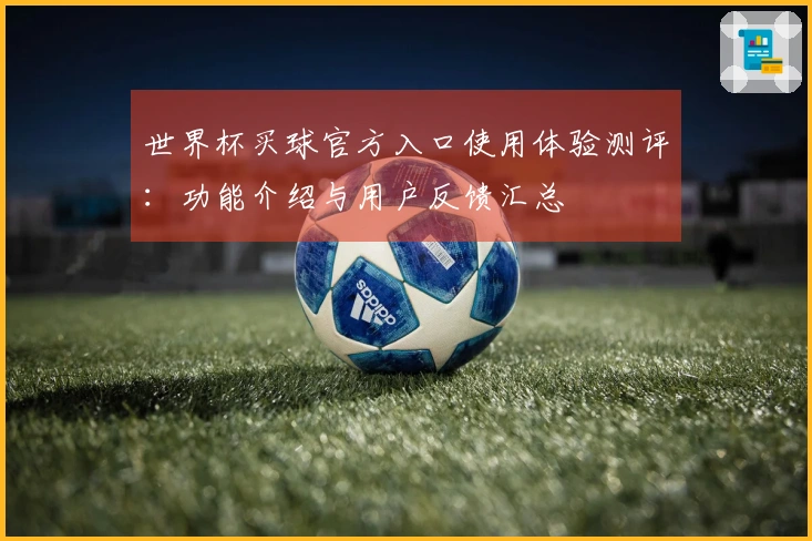 世界杯买球官方入口使用体验测评：功能介绍与用户反馈汇总