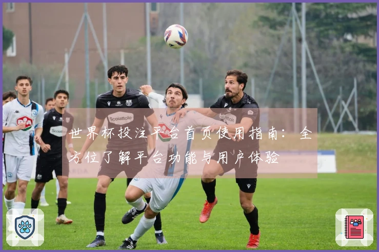 世界杯投注平台首页使用指南：全方位了解平台功能与用户体验
