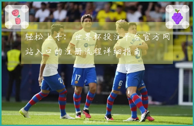 轻松上手：世界杯投注平台官方网站入口的注册流程详细指南