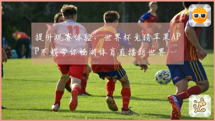 提升观赛体验，世界杯竞猜苹果APP下载带你畅游体育直播新世界